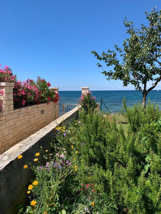 Charming Stone Cottage By The Sea Umag Exterior photo