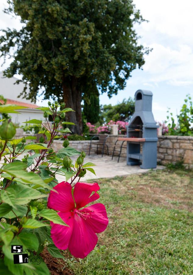 Charming Stone Cottage By The Sea Umag Exterior photo